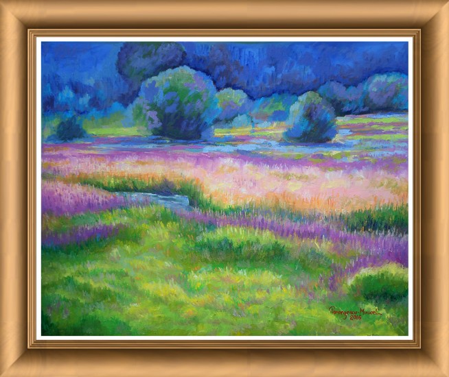 Marshy place